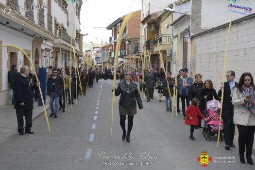 Procesion de Las Plamas en Manzanares 2018